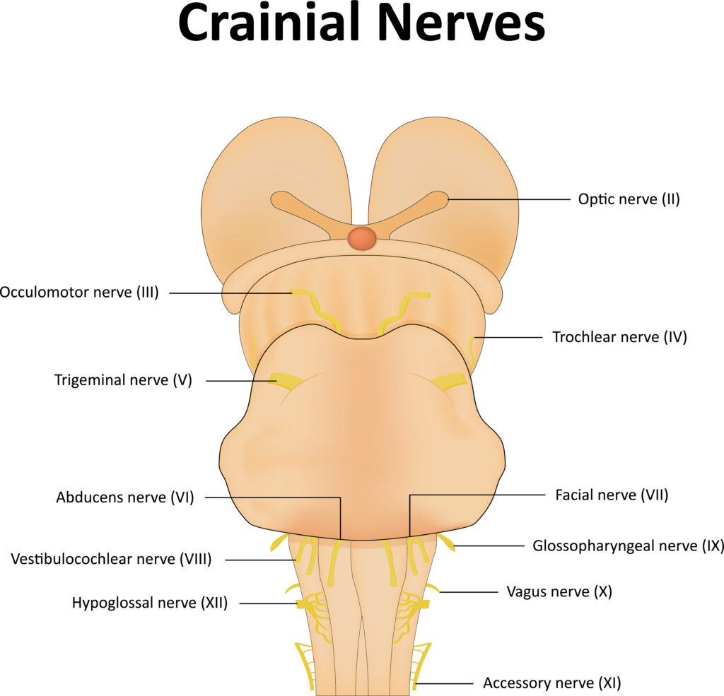 bells palsy treatment