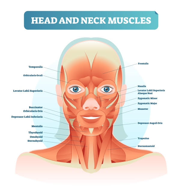 Bell’s palsy and cerebral palsy