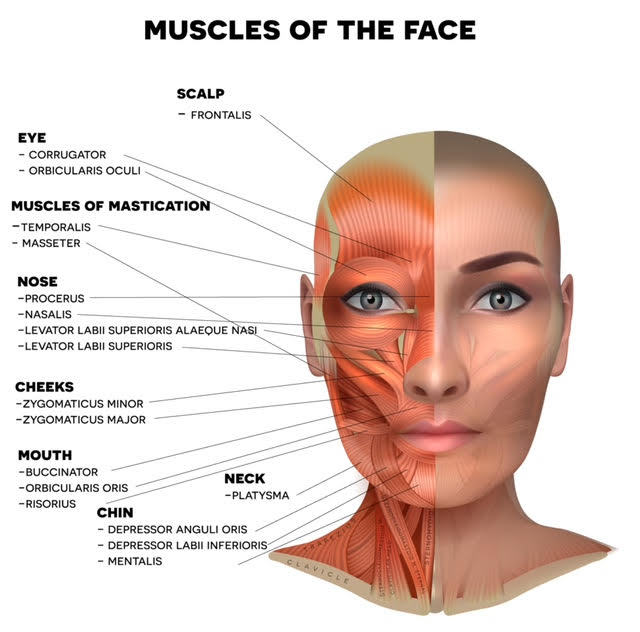 Bell’s Palsy